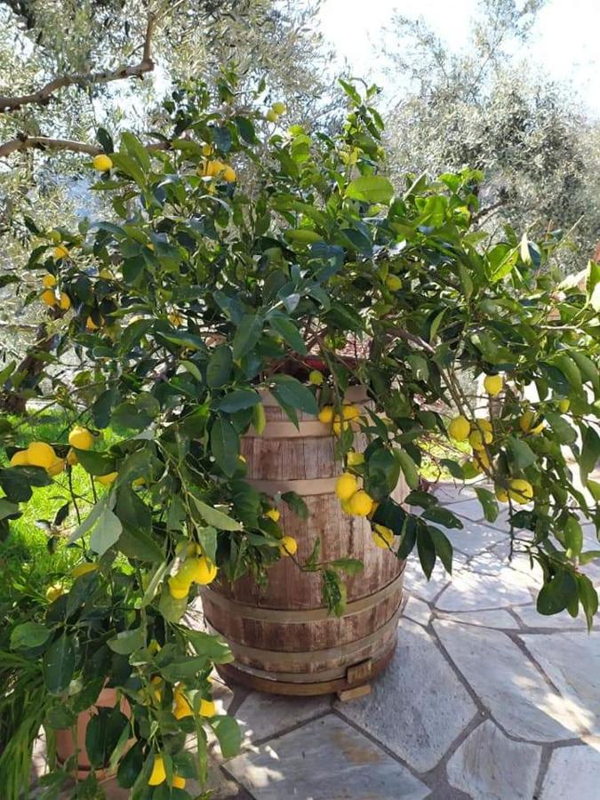 Villa Armonia Neochori  Ngoại thất bức ảnh